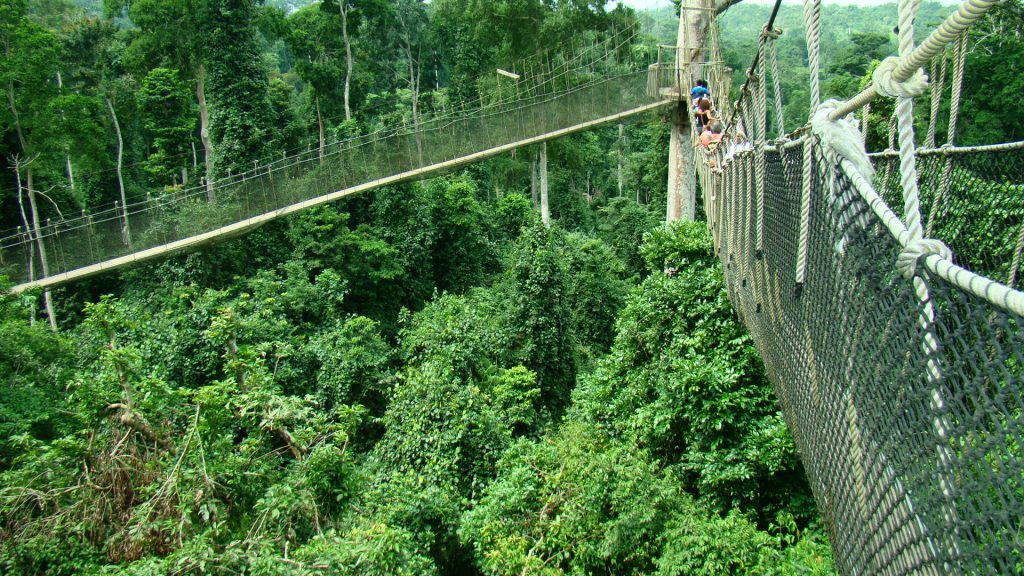 KAKUM NATIONAL PARK AND SLAVE FORTS